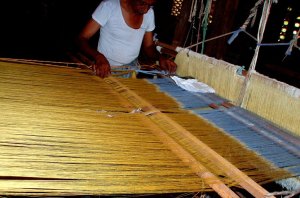 Master Weaver Setting the Loom